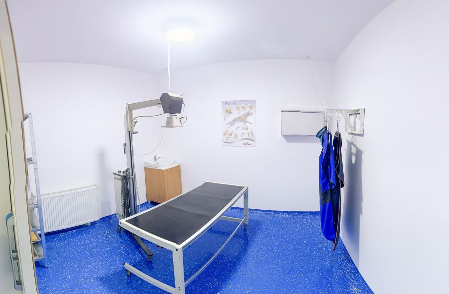 Clinica veterinară Happy Pets