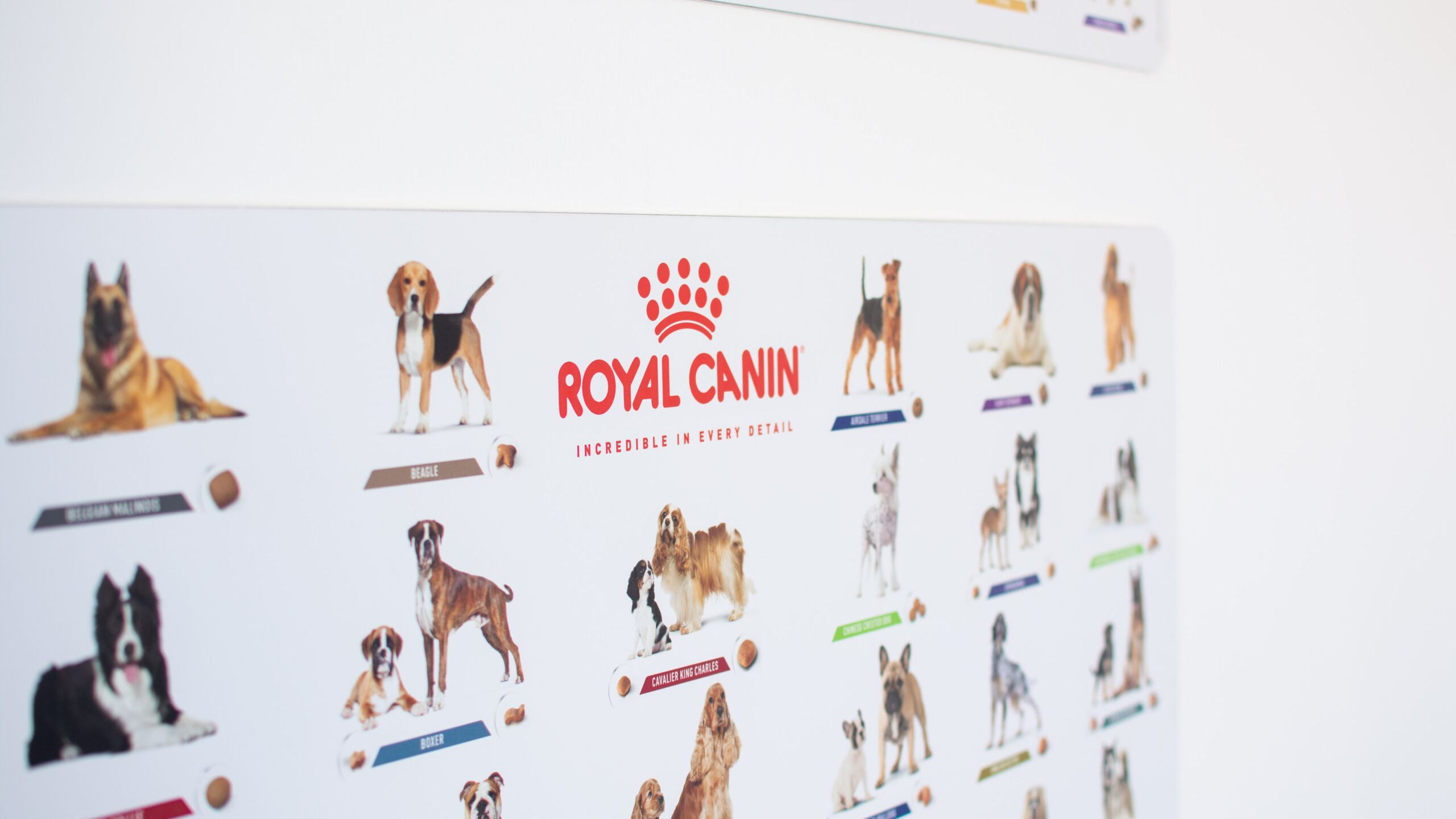 Clinica veterinară Happy Pets - Slide 01