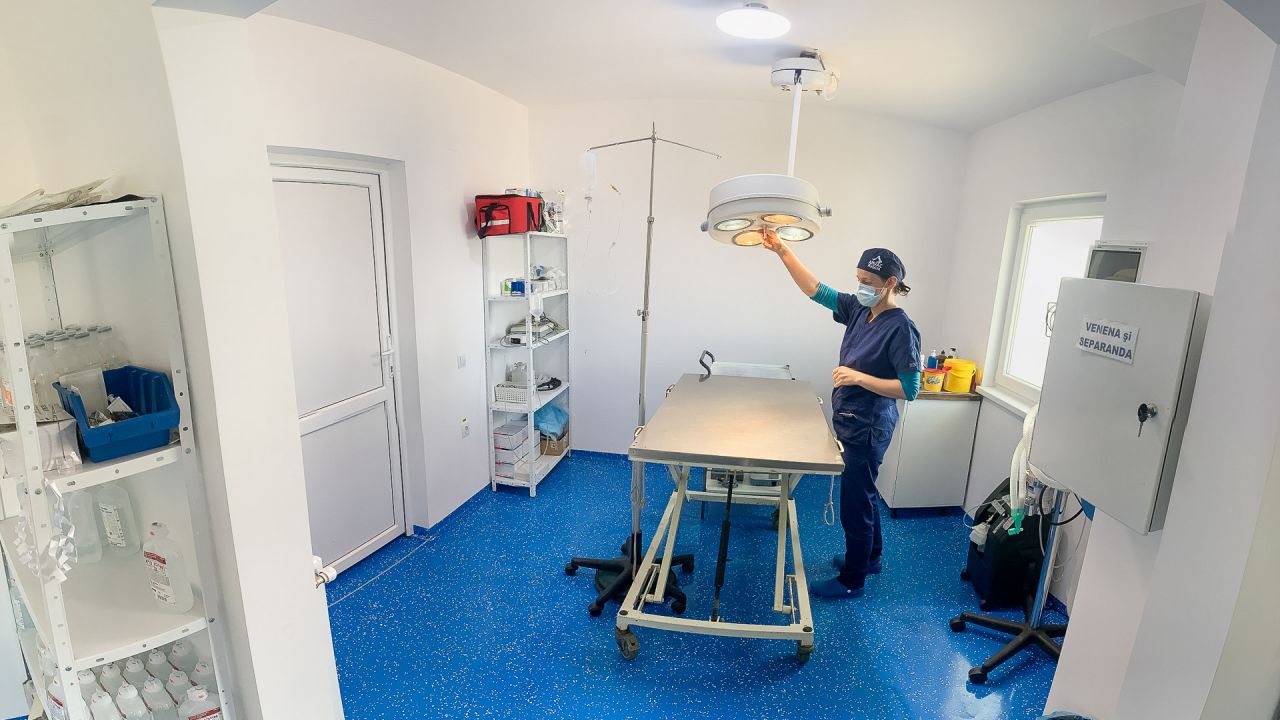 Clinica veterinară Happy Pets